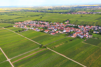 View of the town from the northwest between vineyards in Roschbach in the state Rhineland-Palatinate, Germany