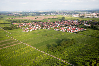Aerial view of District Nußdorf in Landau in der Pfalz in the state Rhineland-Palatinate, Germany