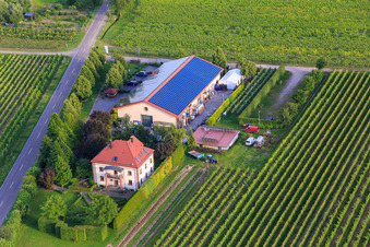 Aerial view of Villa Hochdörffer - Winery & Guesthouse in the district Nußdorf in Landau in der Pfalz in the state Rhineland-Palatinate, Germany
