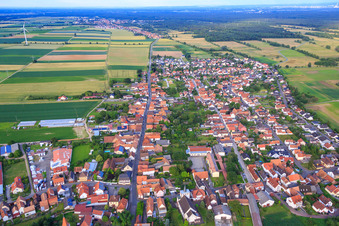 Aerial view of Village overview from the west in Minfeld in the state Rhineland-Palatinate, Germany