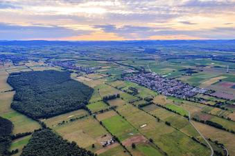 Aerial view of Village overview from the southeast in Minfeld in the state Rhineland-Palatinate, Germany