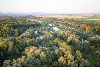Isar meadows in Oberpöring in the state Bavaria, Germany