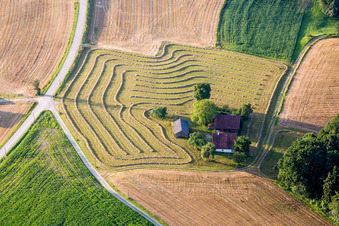 Farm on the edge of mowed meadows in Reisbach in the state Bavaria