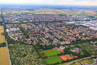 Steinhofweg from the east in the district Pfaffengrund in Heidelberg in the state Baden-Wuerttemberg, Germany