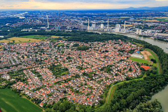 Aerial view of View of the town on the banks of the Rhine from the south in Altrip in the state Rhineland-Palatinate, Germany