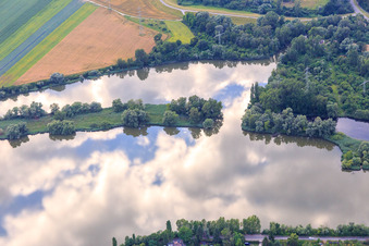 Aerial view of Boat mooring of the SAV Altrip on the Neuhofener Altrhein in Altrip in the state Rhineland-Palatinate, Germany