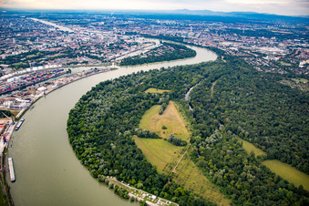Reißinsel in the district Niederfeld in Mannheim in the state Baden-Wuerttemberg, Germany