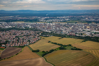 District Oppau in Ludwigshafen am Rhein in the state Rhineland-Palatinate, Germany out of the air