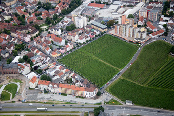 Oblique view of Worms in the state Rhineland-Palatinate, Germany