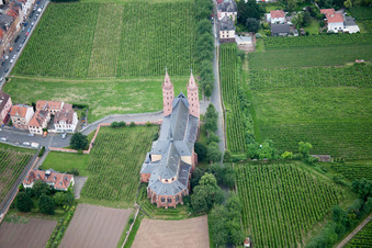 Worms in the state Rhineland-Palatinate, Germany from above