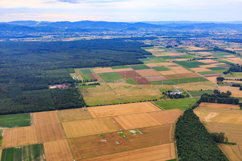 Antennas of the IBB Biblis radio station at the Old Airport in Biblis in the state Hesse, Germany
