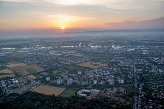 Aerial photograpy of District Neuhausen in Worms in the state Rhineland-Palatinate, Germany