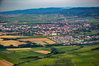 Grünstadt/Asselheim