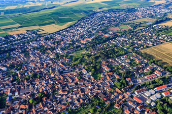View from the north in the district Nieder-Saulheim in Saulheim in the state Rhineland-Palatinate, Germany