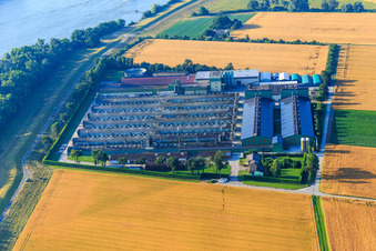 Aerial view of Hego fertilizer plant GmbH on the Rhine dam in Gimbsheim in the state Rhineland-Palatinate, Germany