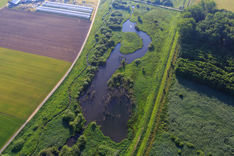 Zehntbach biotope in Bickenbach in the state Hesse, Germany