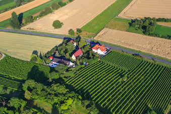 Fruit farm on Zwingenberger Straße in the district Alsbach in Alsbach-Hähnlein in the state Hesse, Germany