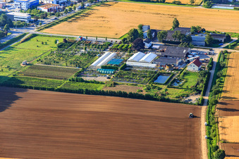 Oblique view of Lindenhof Flowers in the district Auerbach in Bensheim in the state Hesse, Germany