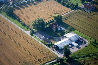 Bird's eye view of District Auerbach in Bensheim in the state Hesse, Germany