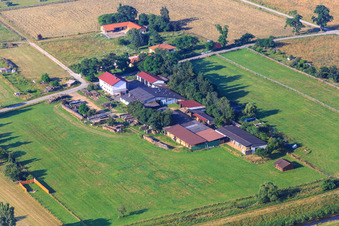 Outside with osteopathic horse and dog therapy, animal communication in Einhausen in the state Hesse, Germany