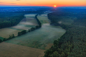 Sunrise in the Otterbachtal with morning mist in Kandel in the state Rhineland-Palatinate, Germany seen from above