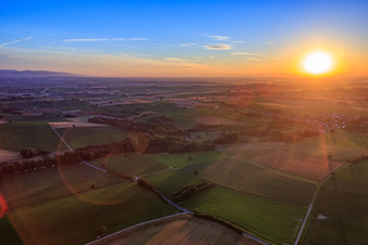 Sunrise over the fields of the Southern Palatinate in the district Kleinsteinfeld in Niederotterbach in the state Rhineland-Palatinate, Germany