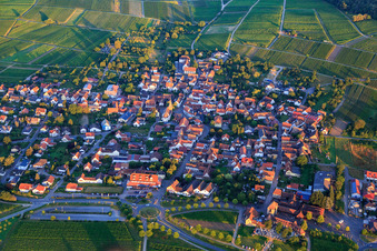 Village view in the morning from the east in the district Schweigen in Schweigen-Rechtenbach in the state Rhineland-Palatinate, Germany