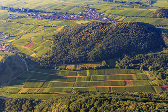Vineyards in the Ranschbachtal from the north in Birkweiler in the state Rhineland-Palatinate, Germany