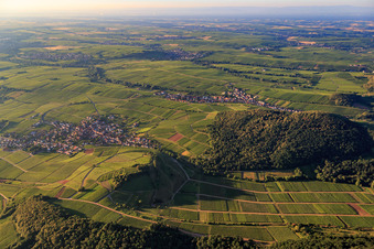 Kastanienbusch vineyard from the northeast in Birkweiler in the state Rhineland-Palatinate, Germany