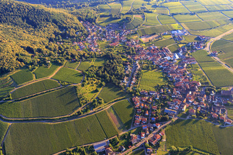 Vineyards at the Sankt Annaberg winery in Burrweiler in the state Rhineland-Palatinate, Germany