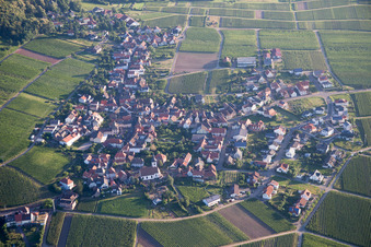 Aerial view of Wine-growing village from the south in Weyher in der Pfalz in the state Rhineland-Palatinate, Germany