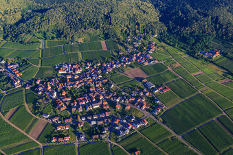 Village overview from the southeast in Weyher in der Pfalz in the state Rhineland-Palatinate, Germany