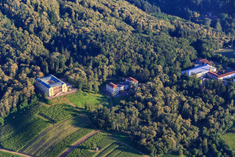 Schloss Villa Ludwigshöhe, vinification ludwigshöhe and Southwest German Football Association eV in Edenkoben in the state Rhineland-Palatinate, Germany