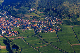 In Dörmel and In Bannholz in the district SaintMartin in Sankt Martin in the state Rhineland-Palatinate, Germany