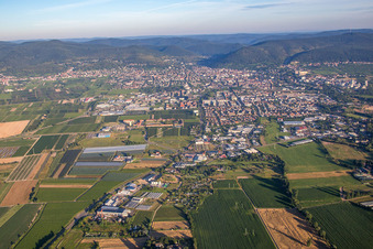 Neustadt an der Weinstraße in the state Rhineland-Palatinate, Germany seen from above