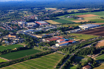 Ziegeleistraße commercial area with Schlosser Export-Import GmbH in Schifferstadt in the state Rhineland-Palatinate, Germany