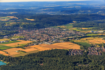 View from the north in Weingarten in the state Baden-Wuerttemberg, Germany