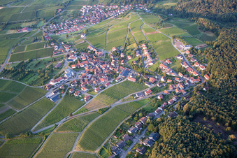 Aerial view of Village - view on the edge of agricultural fields and farmland in Gleiszellen-Gleishorbach in the state Rhineland-Palatinate, Germany