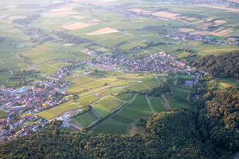 District Gleiszellen in Gleiszellen-Gleishorbach in the state Rhineland-Palatinate, Germany from the plane