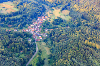 Village view in the Palatinate Forest in the morning from the north in Dimbach in the state Rhineland-Palatinate, Germany