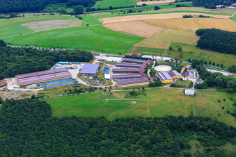 Hobstätterhof with The Horse Stable - Saloon in Einöllen in the state Rhineland-Palatinate, Germany