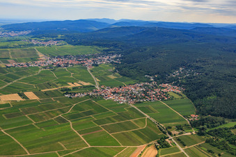 Wine-growing town on the Hardtrand from the north in Bobenheim am Berg in the state Rhineland-Palatinate, Germany