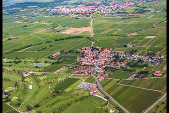 Golf course in Dackenheim in the state Rhineland-Palatinate, Germany from a drone