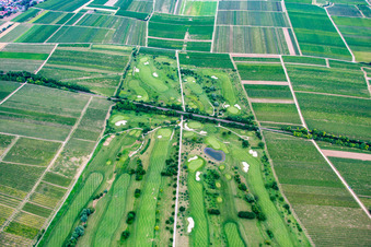 Golf Club in Dackenheim in the state Rhineland-Palatinate, Germany