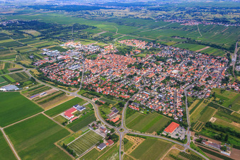 Overview of the town from the northwest in Freinsheim in the state Rhineland-Palatinate, Germany