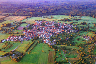Village view on a forest clearing in the Bienwald from the north in the district Büchelberg in Wörth am Rhein in the state Rhineland-Palatinate, Germany