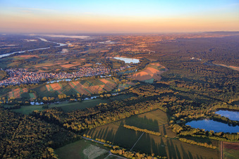 Village view in the morning from the north in Neuburg am Rhein in the state Rhineland-Palatinate, Germany