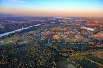 Aerial view of Rhine and village view in the morning from the north in Neuburg am Rhein in the state Rhineland-Palatinate, Germany