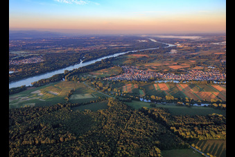Aerial photograpy of Rhine and village view in the morning from the north in Neuburg am Rhein in the state Rhineland-Palatinate, Germany