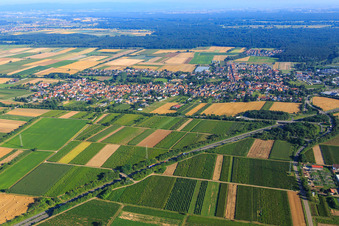 View of the town beyond the B9 from the south in Schwegenheim in the state Rhineland-Palatinate, Germany